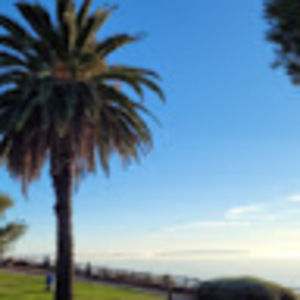 Meet your Posher, Youngjin